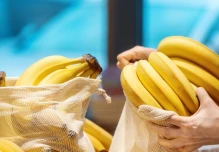 Ecuador es líder en exportaciones de banano orgánico hacia la Unión Europea