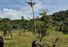Un hombre fue sentenciado a un año de cárcel por ‘crucificar’ a un águila andina en Napo