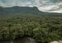 La reserva biológica Cerro Plateado es un paraíso para investigadores