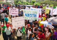 Juez rechaza acción de protección contra Curipamba