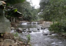 Guayas: Un huerto shuar en la Costa