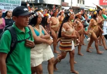 El cierre del Bloque 43-ITT pone en riesgo a 661 familias de la Amazonía 