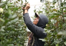 Créditos del BID apuntalan financiamiento productivo en la Amazonía ecuatoriana