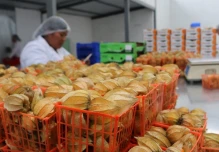Expertos de 10 países capacitaron sobre producción orgánica