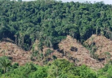 Amazonia: nuevo mapa revela una pérdida del tamaño de Ecuador en 17 años