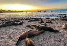 Galápagos impulsa su transición hacia una economía azul sostenible