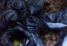 Las Fuerzas Armadas encontraron explosivos en General Farfán