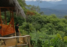 Pastaza, un centro rescata la fauna
