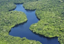 La ONU alertó sobre la esclavitud moderna ligada a la destrucción de la Amazonía en Brasil
