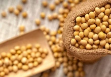 La soya sostenible de EE.UU. es impulsada en Ecuador