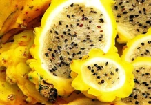 Ecuador impulsa la exportación de frutas exóticas a España