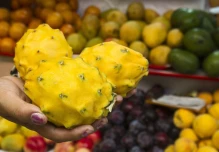 Ecuador exporta pitahaya a 56 países, tras sumar a Perú