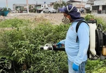 Napo refuerza mingas para controlar el dengue 