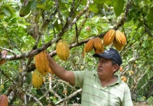 Eduardo Minga es el mejor productor de Cacao Nacional de Aroma
