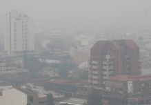América registró incendios forestales muy intensos en 2024