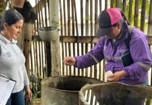 Gobierno despliega brigadas masivas para contener el dengue en Ecuador