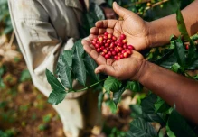 $ 900 mil se destinarán para fortalecer proyectos en la Amazonía
