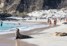Galápagos recibió 280.000 turistas en 2024, 15 % menos que en 2023