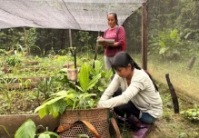Las mujeres de Sarayaku recuperan especies perdidas de la Amazonía 