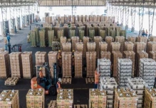 Bananeros atribuyen al narcotráfico la contaminación de cargamentos