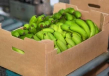 La caja de banano sube a $ 7,50 desde 2026
