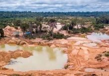 ONG estima 65.985 hectáreas afectadas por la minería ilegal en la Amazonía venezolana