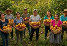 Ecuador registrará a más de 100.000 productores de cacao y café