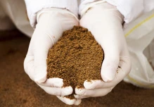 La exportación de productos no tradicionales aumentó hasta en 400 %