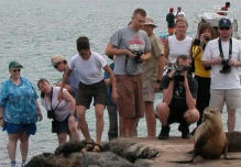 Galápagos: Comisión de Biodiversidad fiscaliza el incremento en la tasa de ingreso