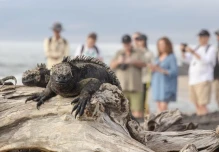 Galápagos registró 145.000 turistas en primer semestre de 2025