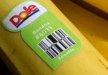 Las empresas privadas de Ecuador se recuperan