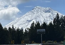 Turismo: Las visitas han aumentado 22 % en 2025 