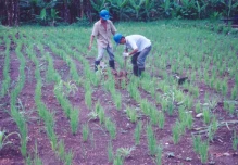 En 1998, Texaco fue liberada en Ecuador luego de una remediación ambiental efectiva