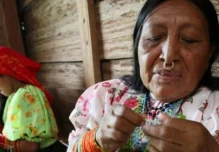 Ocho lenguas indígenas ecuatorianas están en peligro
