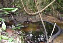 Derrame de petróleo afecta a recinto en Lago Agrio
