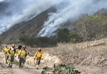 Incendio forestal, que afectó 850 hectáreas en Azuay, fue extinguido