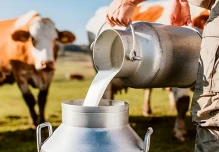 Productos lácteos ecuatorianos llegan a Chile 