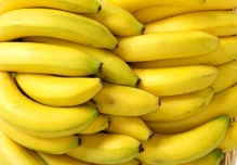 Noboa podrá pedir que se fije precio del banano
