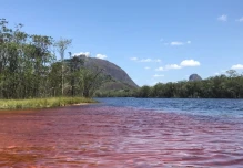 Caño San Joaquín en Guainía: el “río rojo” que se convierte en la nueva joya turística de Colombia