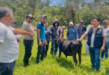 Capacitación impulsa prácticas de ganadería sostenible en productores de Napo