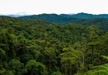 El Zarza, un refugio de vida silvestre en Zamora Chinchipe