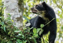 El Chocó Andino: un rincón de naturaleza, aventura y cultura a un paso de Quito