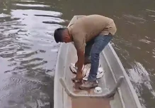 Contaminación en el río Shushufindi deja cientos de peces muertos