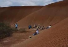 Perú: Diente de espinosaurio conmociona a la comunidad científica