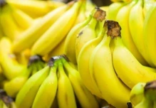 Bananera Noboa redujo en un 78 % su deuda tributaria