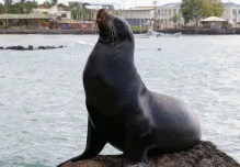 Ecuador se suma a países que ajustaron tarifas de ingreso para visitantes internacionales 