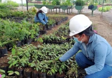 Petroecuador eliminó 112 fuentes de contaminación en Orellana y Sucumbíos
