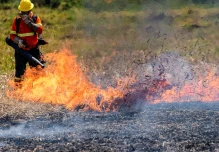 Incendios en Bolivia, Paraguay y Brasil provocan las más altas emisiones de CO2 en 20 años