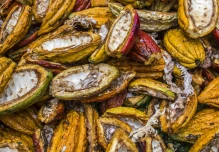 La barra de chocolate ‘blockchain’ que fomenta el desarrollo en Ecuador