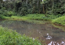 'Hemisferios', una reserva de biodiversidad y "fábrica de agua" en la Amazonía